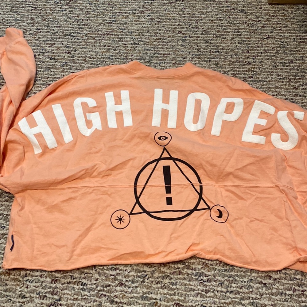 Panic! At the disco cropped long sleeve shirt
